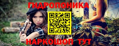 прущие грибы Славянск-на-Кубани