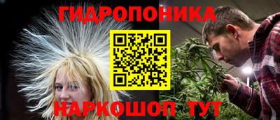 прущие грибы Славянск-на-Кубани