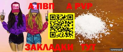 прущие грибы Славянск-на-Кубани