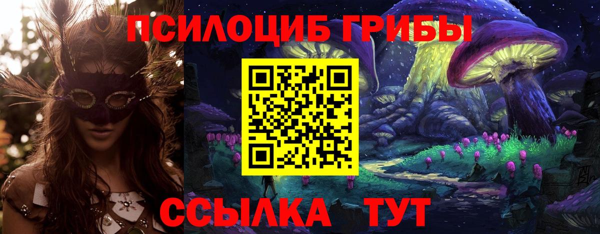 Орёл  Псилоцибиновые грибы Magic Shrooms  Псилоцибиновые грибы Magic Shrooms  Вход с VPN 