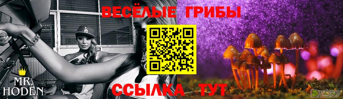 Псилоцибиновые грибы мухоморы Орёл